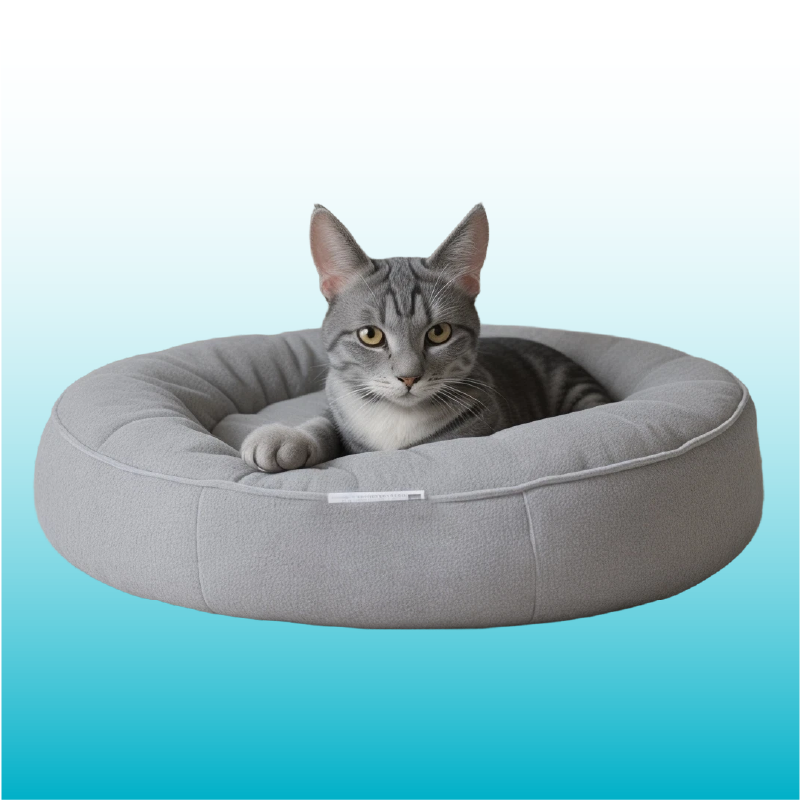 Accesorios para Gatos en Ecuador - Peludopolis Accesorios para gatos en Ecuador